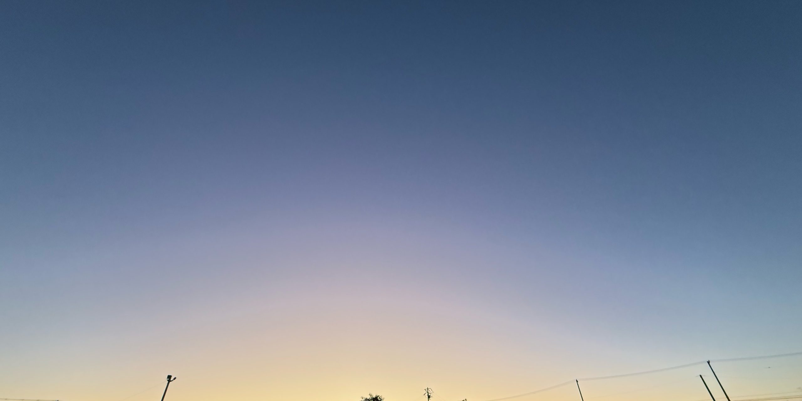 五感と光と本能