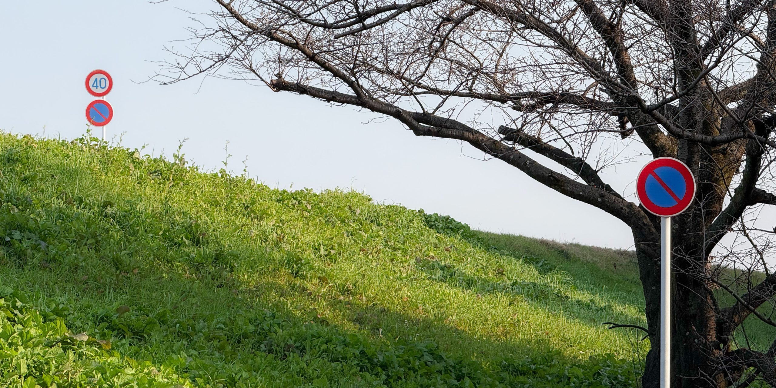 知ることと、生きることのあいだ