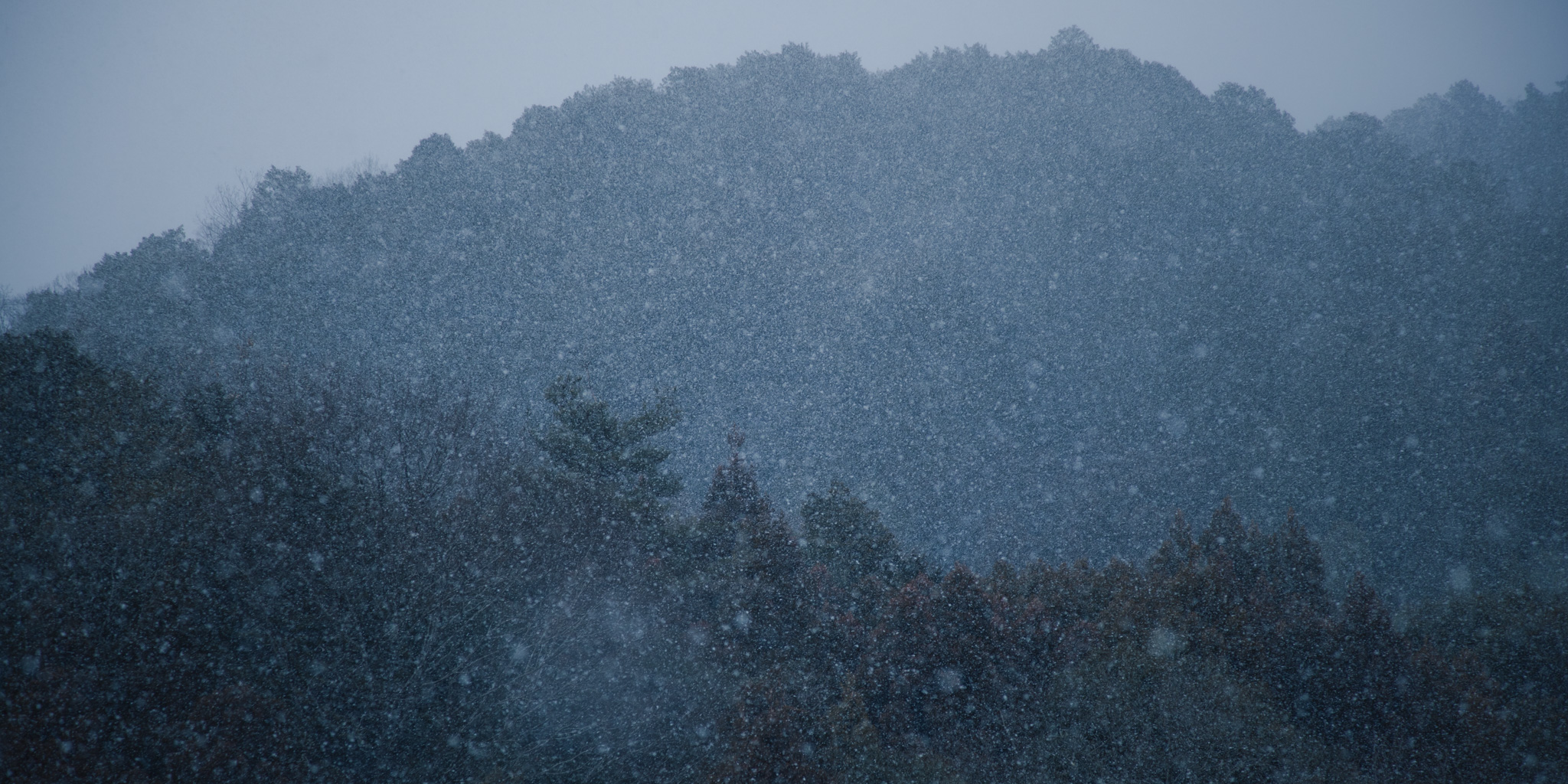 役割を脱ぐ場所が、現代の贅沢になった