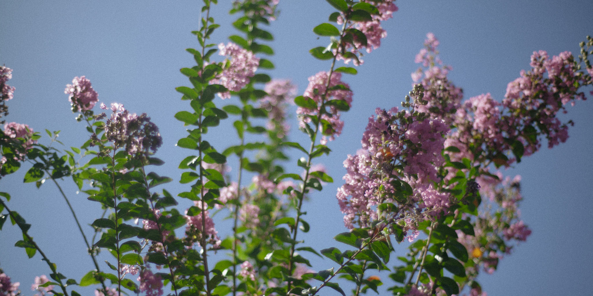 川は流れ、人がいる場所は数字の外側であり