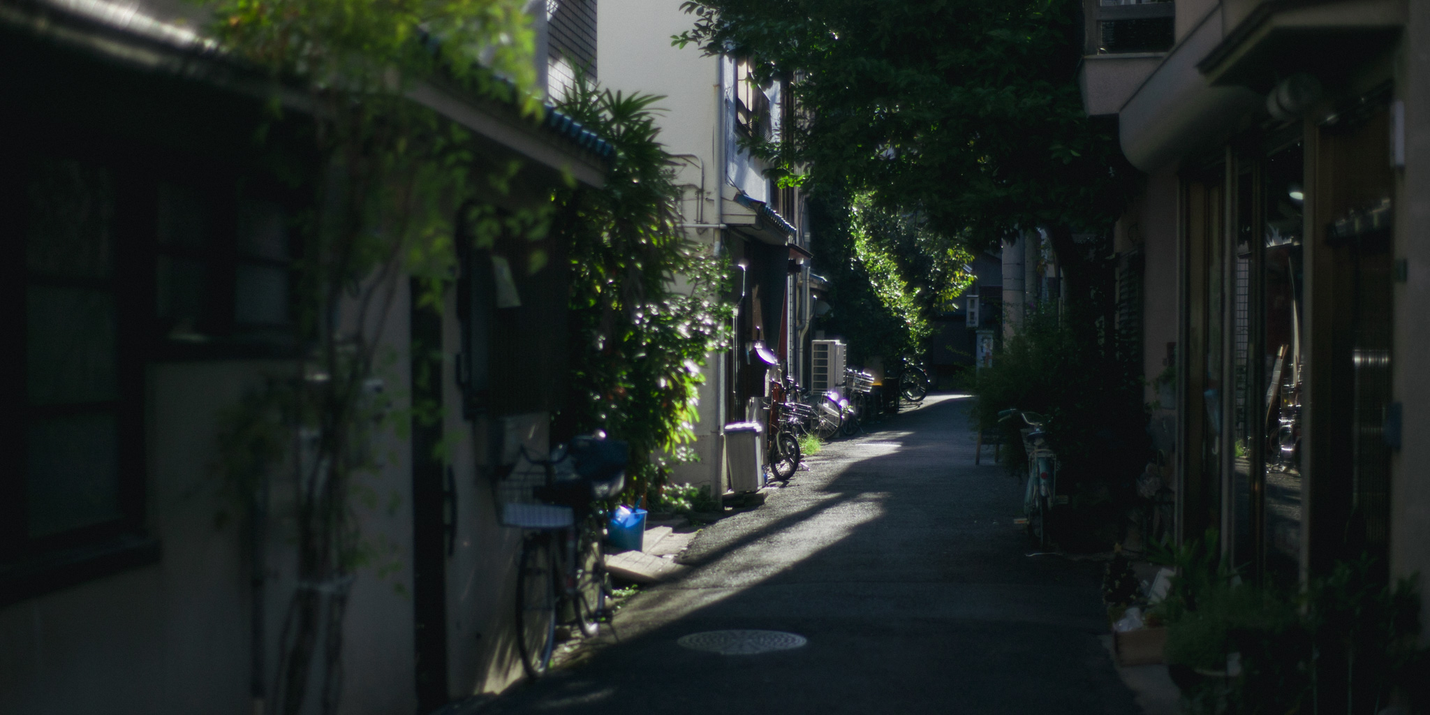 週の勾配を読む──歩く道、自分、身体