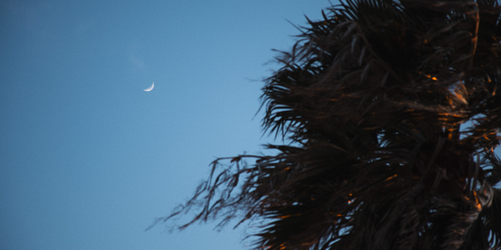 結界としてのMac mini