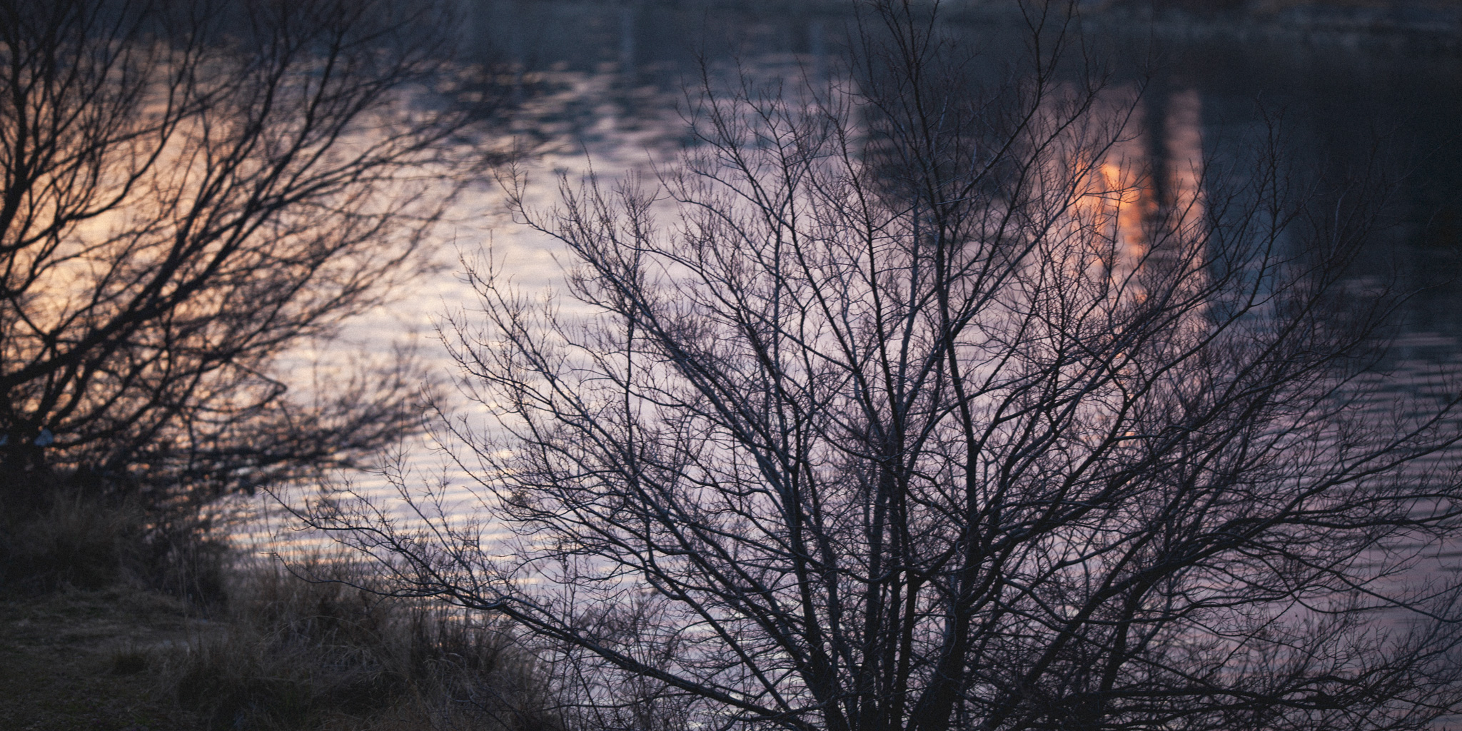朝、そして夜。時の中で。